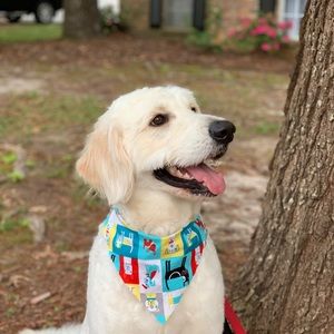 Meet your Posher, Seth